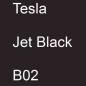 Preview: Tesla, Jet Black, B02.